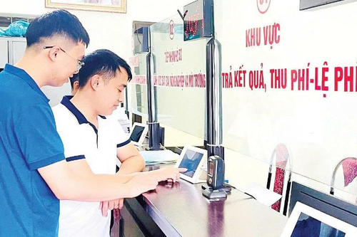 Tận tâm và chuyên nghiệp