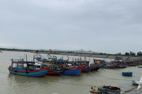 Hà Tĩnh: Tất cả tàu, thuyền đã nắm được thông tin bão số 3 và tìm nơi tránh trú