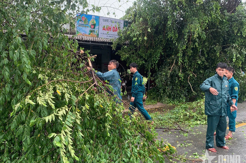Bộ tư lệnh TP Hồ Chí Minh huy động gần 100 cán bộ, chiến sĩ giúp dân khắc phục hậu quả dông lốc