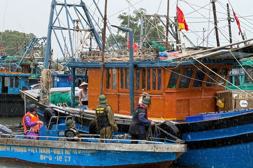 Bộ đội Biên phòng tỉnh Quảng Ninh giữ vững thế trận phòng, chống bão số 3