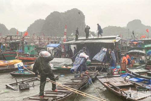 Vùng 1 Hải quân giúp dân phòng, chống bão