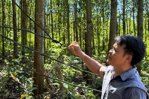 30 hộ dân ở Quảng Ngãi sống trong cảnh 'điện chập chờn'