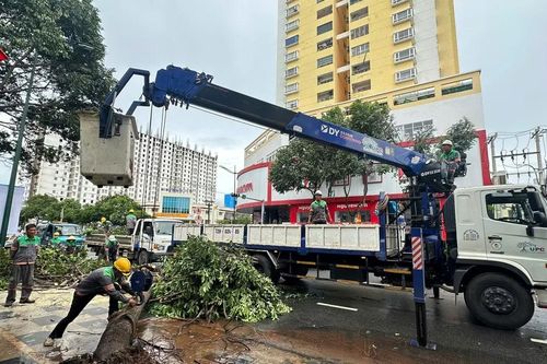 Dông lốc tiếp tục làm nhiều cây xanh gãy đổ ở TPHCM