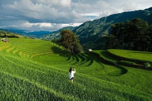 Mù Cang Chải xanh mướt mùa lúa non, hút khách mê xê dịch