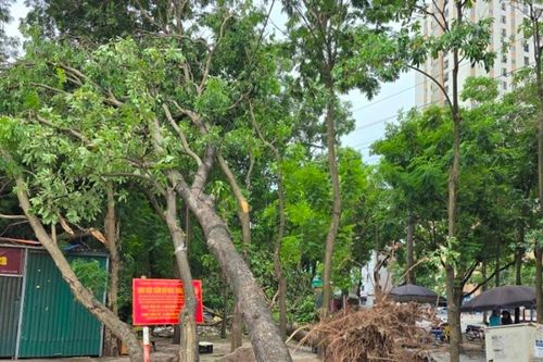 Hà Nội ban hành công điện khẩn ứng phó bão số 3 Wipha: Yêu cầu 'bốn tại chỗ'