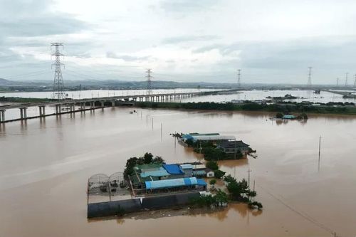 Mưa lũ cuồn cuộn ở Hàn Quốc, 17 người thiệt mạng và 11 người mất tích