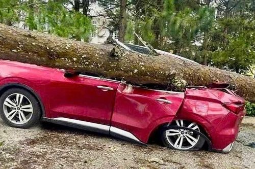 Lâm Đồng: Mưa lớn, gió mạnh quật đổ nhiều cây xanh, đè bẹp xe ô tô, tốc mái nhà