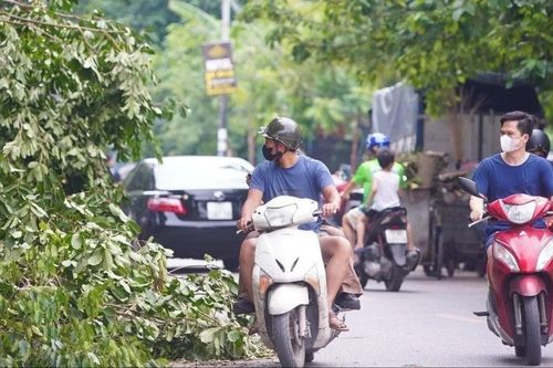 Đại học gấp rút chuyển sang học trực tuyến để phòng tránh bão số 3