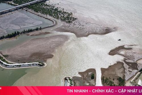 Khắc phục bồi lắng tại Khu tránh trú bão Cửa Hội - Xuân Phổ: Yêu cầu cấp thiết!