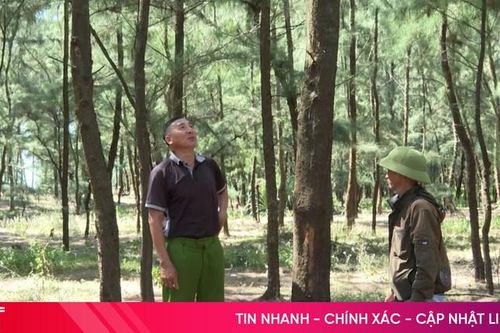 Quản lý rừng phòng hộ ven biển: Khó nhiều bề!