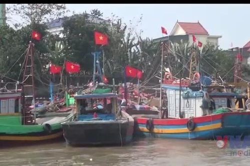 Nghệ An cấm biển với tất cả tàu, thuyền để phòng, chống bão số 3