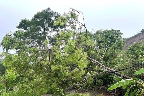 Lào Cai tạm ngừng dịch vụ du lịch ngoài trời, Hà Tĩnh lợp lại nhà bị tốc mái