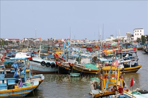 Ứng phó bão số 3: Lâm Đồng quản lý nghiêm ngặt tàu thuyền ra khơi