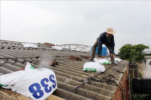 Hưng Yên: Gấp rút di dời người dân ở khu vực ảnh hưởng trực tiếp của bão số 3