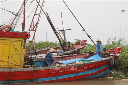 Ninh Bình: Khẩn trương triển khai các biện pháp phòng, chống bão số 3