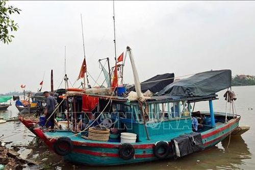Thông báo danh sách 76 điểm tránh trú bão an toàn tại Quảng Ninh