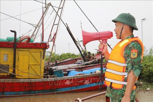 Bộ đội Biên phòng phối hợp với ngư dân khẩn trương phòng, chống bão số 3