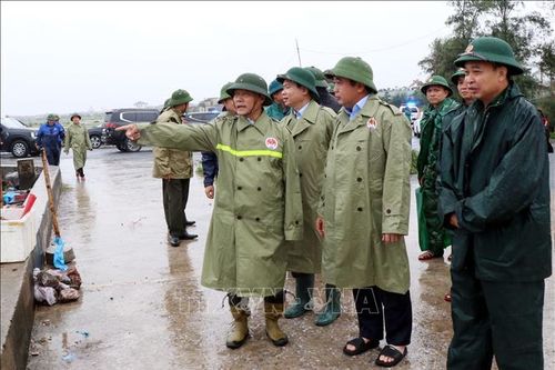 Bộ Nông nghiệp và Môi trường kiểm tra công tác ứng phó bão số 3 tại Ninh Bình