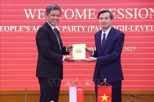Nâng tầm hợp tác giáo dục, đào tạo và phát triển nguồn nhân lực chất lượng cao giữa Việt Nam - Singapore