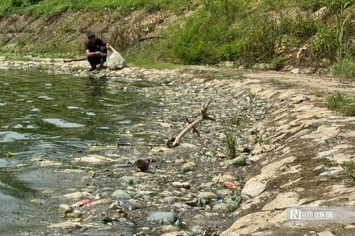 Cá chết bốc mùi, cỏ dại mọc quá đầu ở công viên hơn 700 tỷ đồng tại Hà Nội