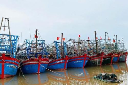 Thanh Hóa cấm biển, hàng nghìn tàu thuyền đã vào bờ an toàn