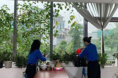 Tuổi trẻ Hội Luật gia Việt Nam hưởng ứng 'Ngày Chủ nhật xanh'