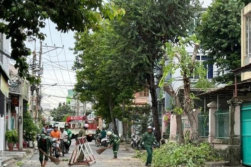 Lâm Đồng: Lốc xoáy cuốn phăng hàng chục mái nhà, cây cối đổ la liệt