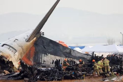 Rơi máy bay Jeju Air: Phi công bị nghi tắt nhầm động cơ sau cú va chạm với chim