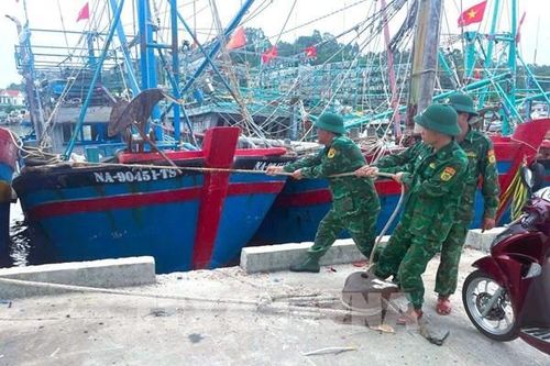 Mưa lớn, giông lốc khiến 5 người thương vong tại Nghệ An