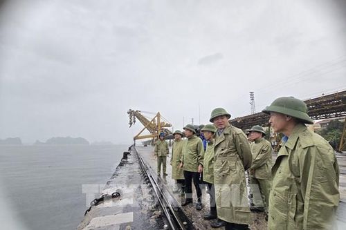 Ngành than tạm dừng sản xuất ca 2 và ca 3 để ứng phó với bão