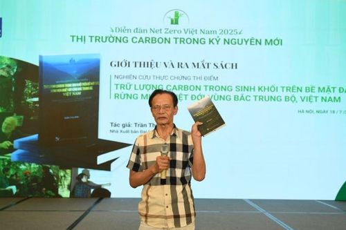 Đo carbon từ rừng: Cách tiếp cận khoa học cho Net Zero
