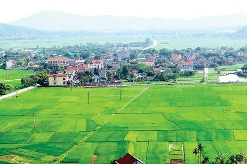 Chính sách đất đai mới góp phần phát triển nông nghiệp