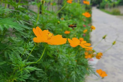 Bản tin Dự báo thời tiết ngày 22/7/2025