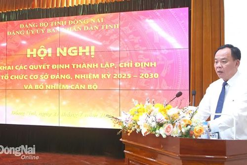 Đảng ủy UBND tỉnh thành lập 52 tổ chức cơ sở Đảng trực thuộc