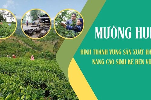 Mường Hum: Hình thành vùng sản xuất hàng hóa, nâng cao sinh kế bền vững