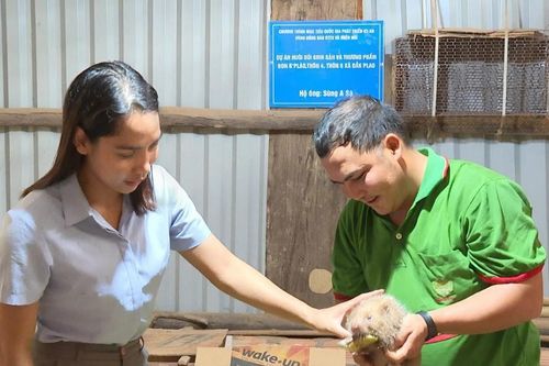 Hiệu quả công tác giảm nghèo ở xã Quảng Khê
