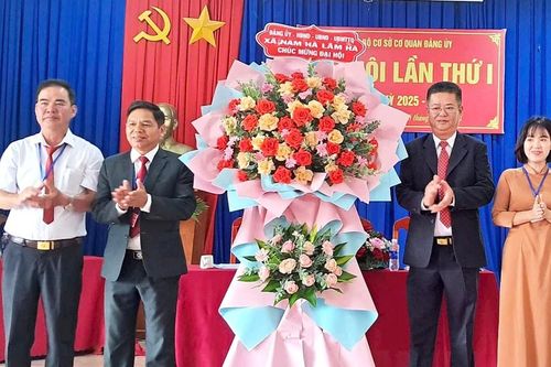 Nam Hà Lâm Hà: 100% chi bộ trực thuộc và chi bộ cơ sở hoàn thành Đại hội