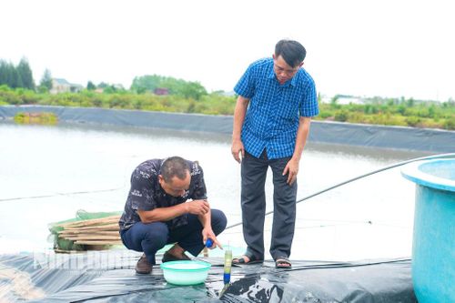 Xã Kim Đông quyết tâm bảo vệ trên 5.500 ha thủy sản trước bão số 3