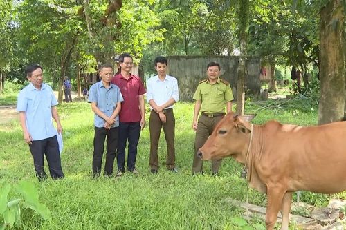 Hiệu quả từ thỏa thuận giảm phát thải vùng Bắc Trung bộ