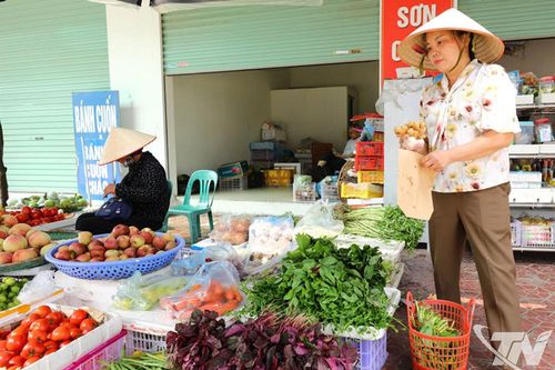 Cấm túi nilon: Bước đi cần thiết và dũng cảm