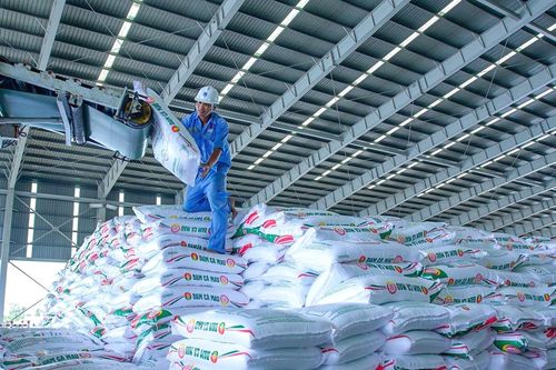 Đạm Cà Mau (DCM): Lãi hơn 300 tỷ đồng trong tháng 7, xuất thêm lô hàng lớn sang Australia
