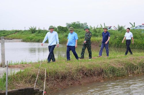 Hải Phòng chủ động tăng cường các biện pháp ứng phó với cơn bão số 3