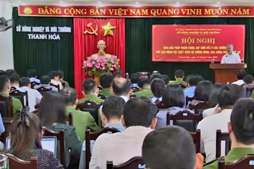Thanh Hóa: Bàn giải pháp ngăn chặn hành vi vứt xác động vật trên hệ thống kênh mương