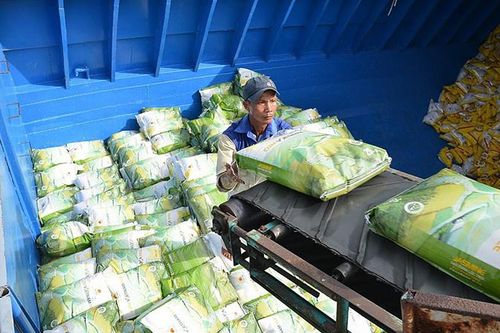 Giá gạo xuất khẩu tiếp tục trầm lắng do nhu cầu thế giới giảm