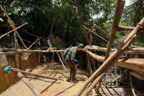 Kì cuối: Những vòng lặp và vùng ranh pháp luật