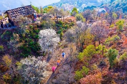 Nậm Nghiệp - Từ vùng đất bị lãng quên đến điểm du lịch Tây Bắc