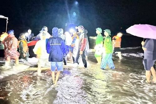 Tàu câu mực chở 30 khách du lịch bị chìm hoạt động tự phát