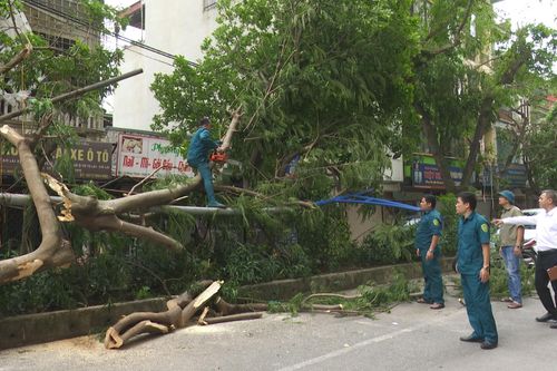 Người dân chủ động đảm bảo an toàn trước mưa bão