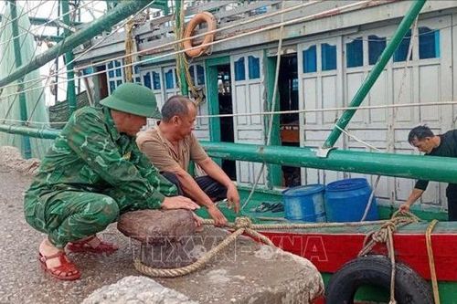Thanh Hóa huy động lực lượng ứng phó với bão số 3