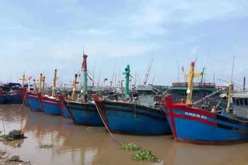 Hải Phòng chủ động ứng phó bão số 3